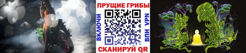 Псилоцибиновые грибы GOLDEN TEACHER  Родники 